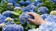 Os reis do jardim sombrio: 4 plantas que vão embelezar perfeitamente um canto escuro